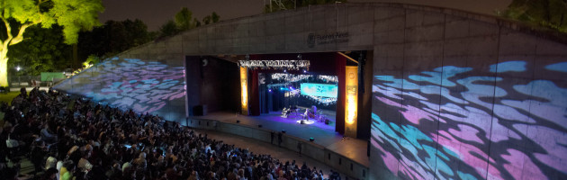 Diario Cultura 11/2015 “Festival Internacional Buenos Aires Jazz 2014″